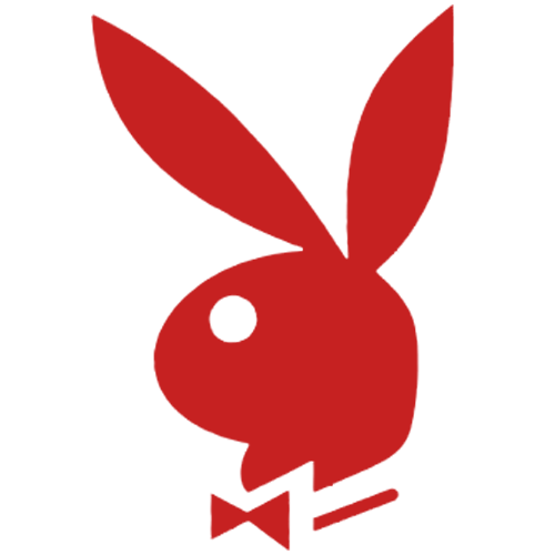 뉴토끼